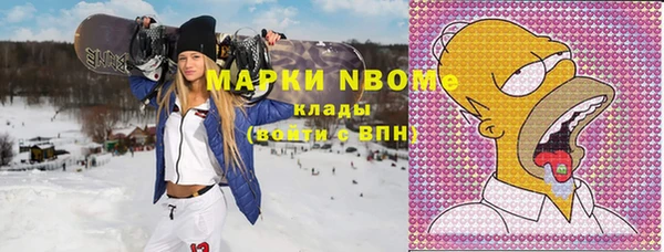 прущие грибы Вяземский