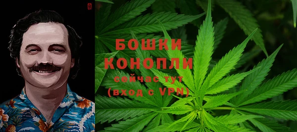 прущие грибы Вяземский
